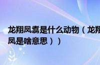 龙翔凤翥是什么动物（龙翔凤翥的意思是什么意思（翔龙翥凤是啥意思））