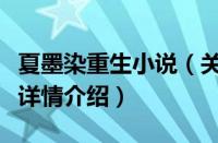 夏墨染重生小说（关于夏墨染重生小说的基本详情介绍）