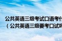 公共英语三级考试口语考什么（公共英语三级口试怎么考的（公共英语三级要考口试吗））