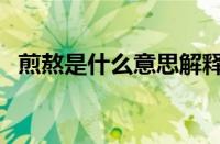 煎熬是什么意思解释（煎熬是什么意思啊）