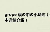 grope 暗の中の小鸟达（关于grope 暗の中の小鸟达的基本详情介绍）