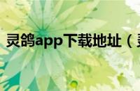 灵鸽app下载地址（灵鸽app基本使用方法）