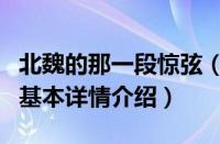 北魏的那一段惊弦（关于北魏的那一段惊弦的基本详情介绍）