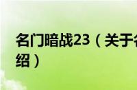 名门暗战23（关于名门暗战23的基本详情介绍）