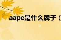 aape是什么牌子（aape是奢侈品牌吗）