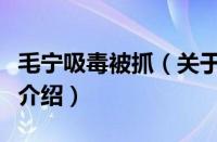 毛宁吸毒被抓（关于毛宁吸毒被抓的基本详情介绍）