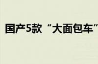 国产5款“大面包车”推荐（实用的多面手）