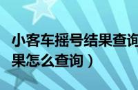 小客车摇号结果查询天津摇号（小客车摇号结果怎么查询）