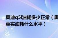 奥迪q5l油耗多少正常（奥迪Q5L油耗每公里多少奥迪Q5L真实油耗什么水平）