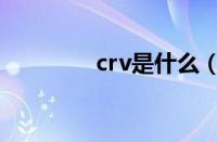 crv是什么（crv是什么车）