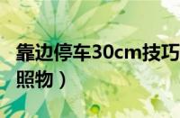 靠边停车30cm技巧图解（靠边停车30公分参照物）