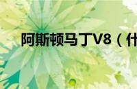 阿斯顿马丁V8（什么是阿斯顿马丁V8）