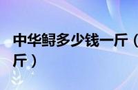 中华鲟多少钱一斤（中华鲟8到12斤多少钱一斤）