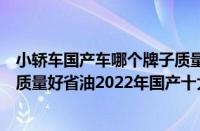 小轿车国产车哪个牌子质量好省油毛病少（国产车哪个牌子质量好省油2022年国产十大汽车品牌排行）