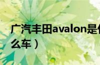 广汽丰田avalon是什么车（丰田avalon是什么车）