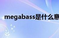 megabass是什么意思（bass是什么意思）