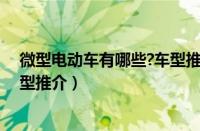 微型电动车有哪些?车型推介图片（微型电动车有哪些？车型推介）