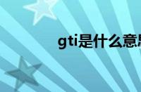 gti是什么意思（什么是gti）