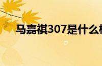 马嘉祺307是什么梗（307是什么意思）