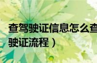 查驾驶证信息怎么查（输入身份证号码查询驾驶证流程）