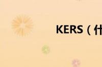 KERS（什么是KERS）