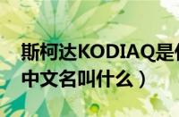 斯柯达KODIAQ是什么车（斯柯达KODIAQ中文名叫什么）