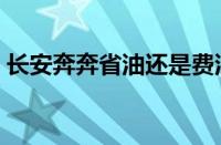 长安奔奔省油还是费油（长安奔奔耗油多少）