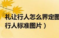 礼让行人怎么界定图解（斑马线及斑马线礼让行人标准图片）