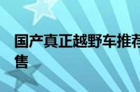 国产真正越野车推荐 国产越野车排行榜 仅在售