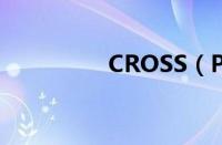 CROSS（POLO的颜色）