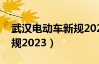 武汉电动车新规2023（武汉市电动车管理新规2023）