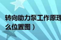 转向助力泵工作原理示意图（转向助力泵在什么位置图）