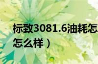 标致3081.6油耗怎么样（东风标致308油耗怎么样）