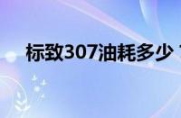 标致307油耗多少？ 