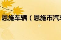 恩施车辆（恩施市汽车保险投保指南是什么）