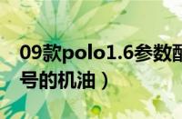 09款polo1.6参数配置（09款polo用什么型号的机油）