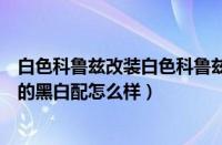 白色科鲁兹改装白色科鲁兹改装什么颜色的后唇好看（经典的黑白配怎么样）