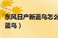 东风日产新蓝鸟怎么样（如何评价东风日产新蓝鸟）