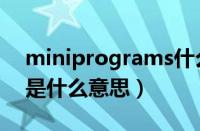 miniprograms什么意思（MINICHAMPS是什么意思）