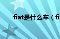 fiat是什么车（fiat一般在什么价位）