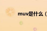 muv是什么（muv是什么车）