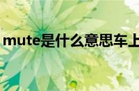 mute是什么意思车上的（mute是什么意思）