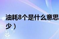 油耗8个是什么意思（宝马X53.0t的油耗是多少）