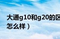 大通g10和g20的区别（大通g10、大通g20怎么样）