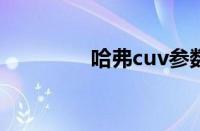 哈弗cuv参数（哈弗CUV）