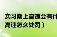 实习期上高速会有什么处罚（新交规实习期上高速怎么处罚）