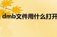 dmb文件用什么打开（DMB是什么发动机）