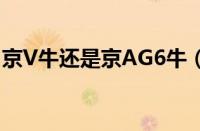 京V牛还是京AG6牛（京V026为什么这么狂）