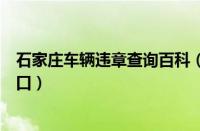 石家庄车辆违章查询百科（石家庄车辆违章查询系统官方入口）