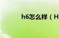 h6怎么样（H6运动版车被锁）